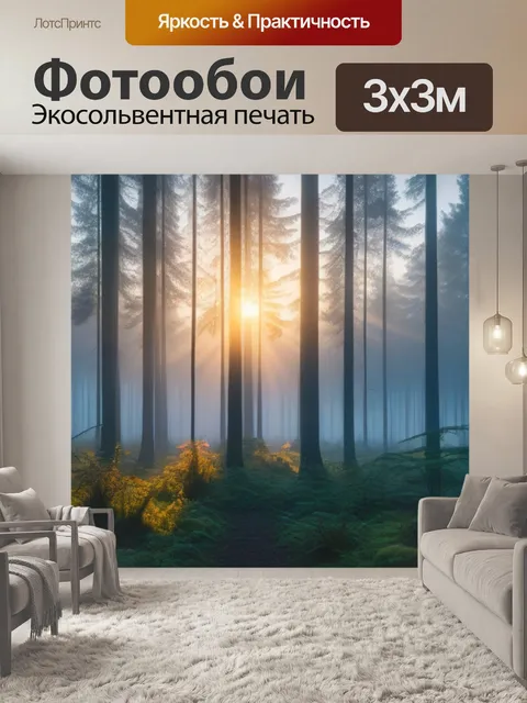 Фотообои туманный рассвет в лесу