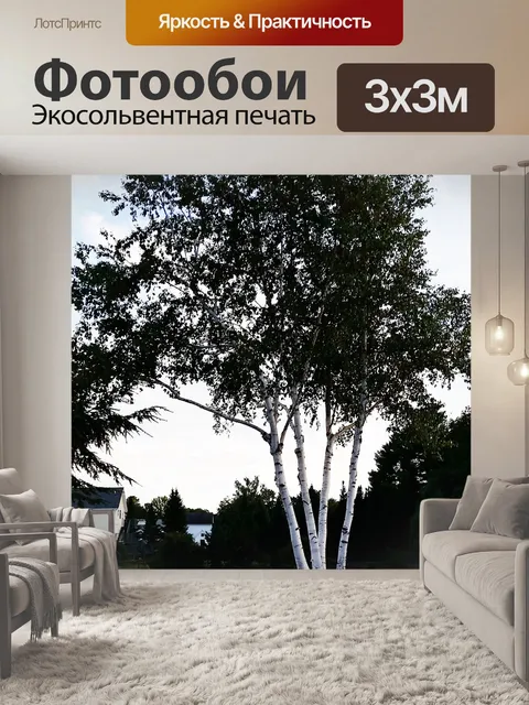 Фотообои Березы