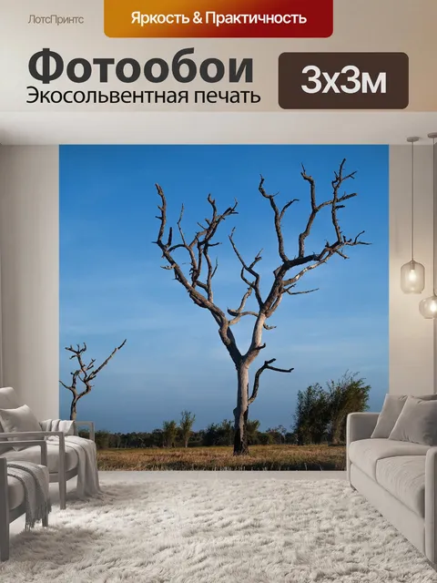 Фотообои Мертвое дерево, силуэт дерева