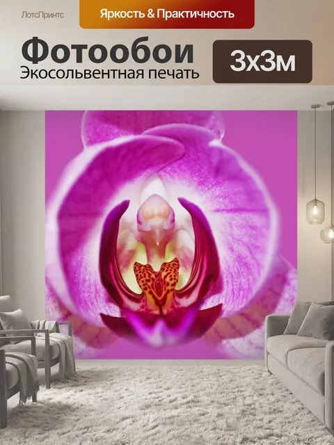 Фотообои Purple Orchid