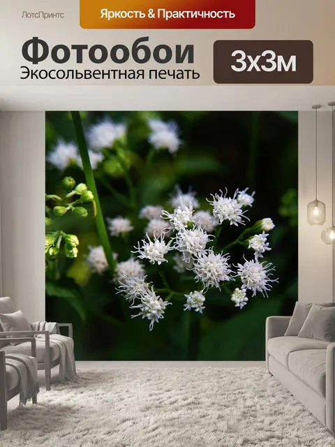 Фотообои Цветы