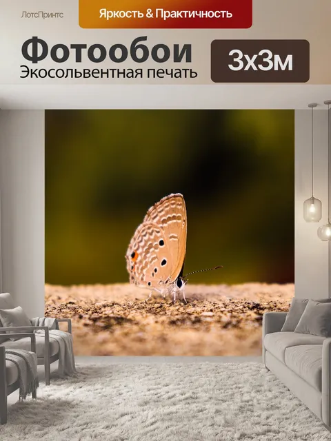 Фотообои Бабочка