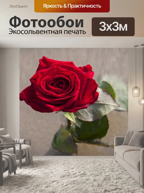 Фотообои Роза