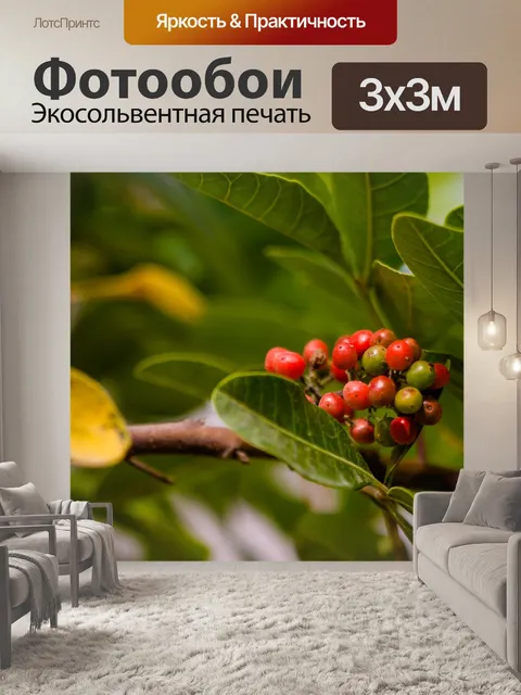 Фотообои Поле
