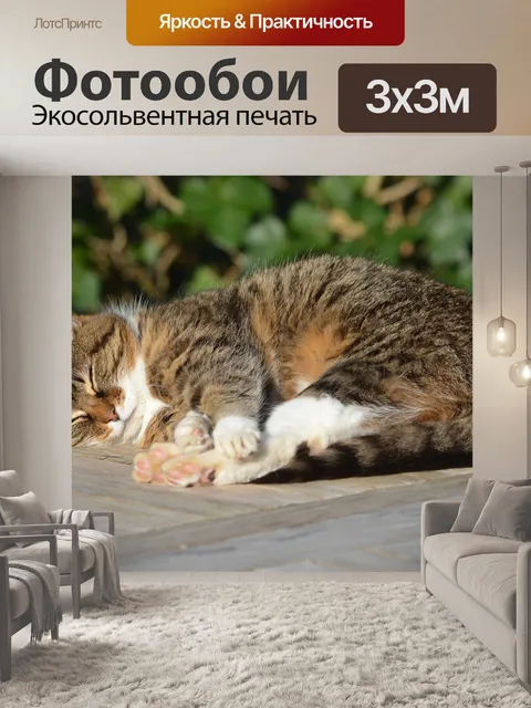 Фотообои Кошка