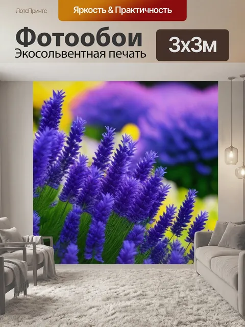 Фотообои лаванда как символ спокойствия