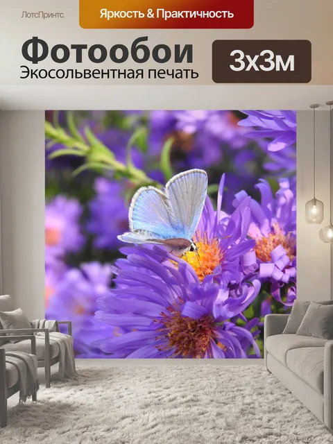 Фотообои Бабочка