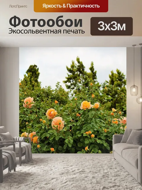 Фотообои Розы