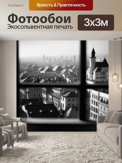 Фотообои городской пейзаж с окна чернобелый