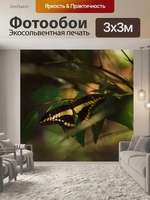 Фотообои Бабочка