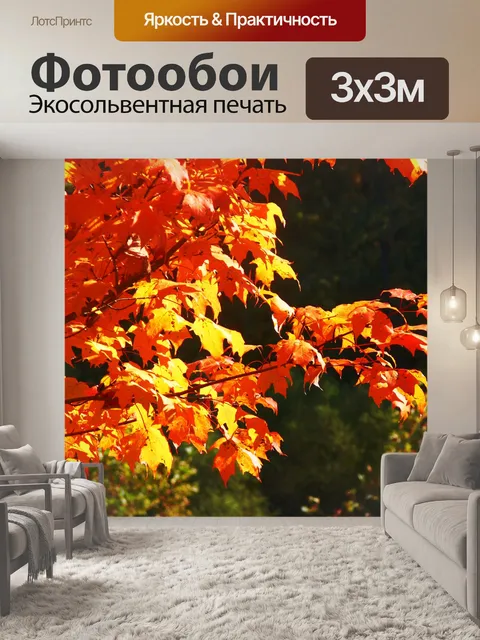 Фотообои Желто-оранжевый осенних листьев