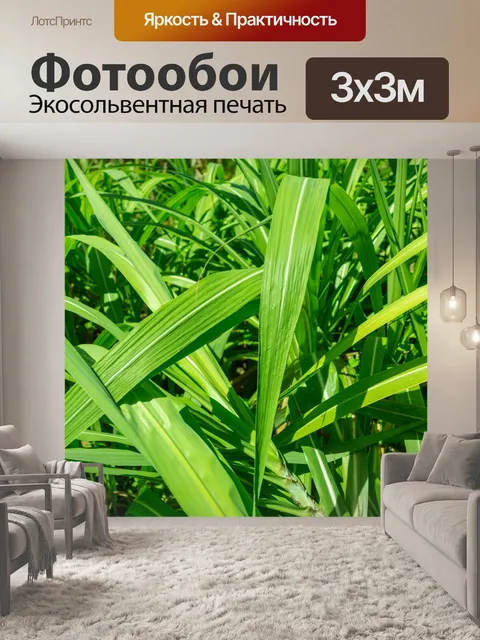 Фотообои Тонкие зеленые листья
