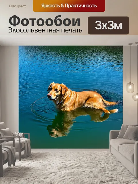Фотообои золотистый ретривер, плавающий в кристально чистом озере, его отражение в воде создает красивую симметрию