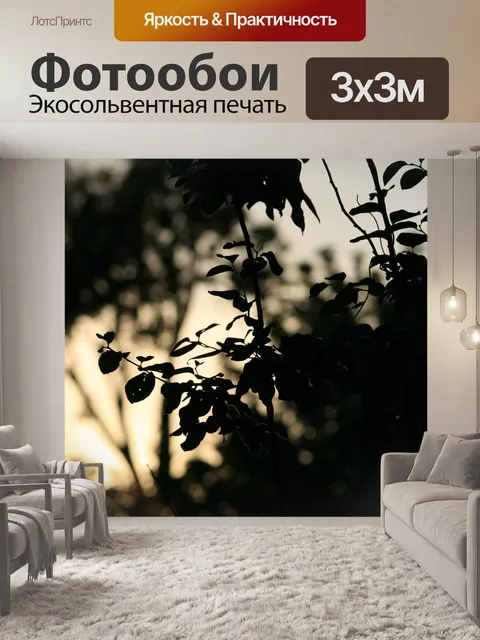 Фотообои розовый куст силуэт