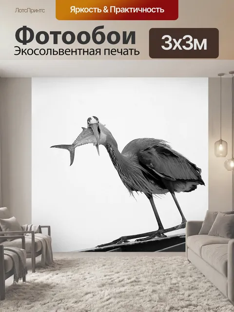 Фотообои Большая голубая цапля в черно-белом