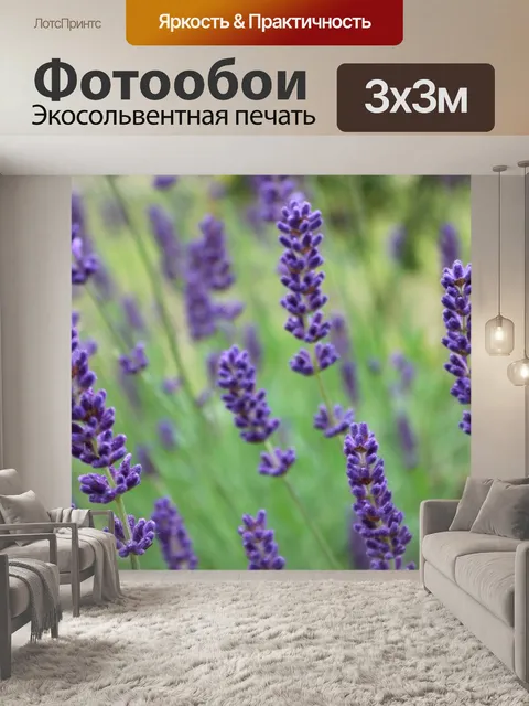 Фотообои Лаванда