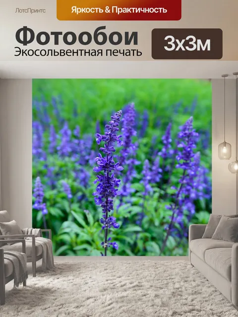 Фотообои Лаванда