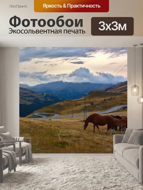 Фотообои Лошади