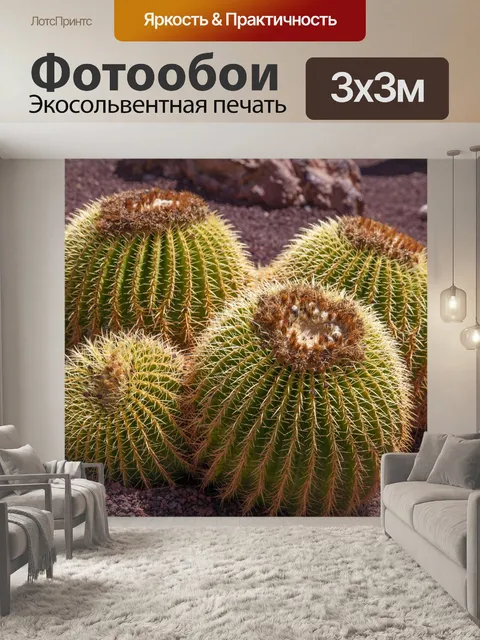 Фотообои Кактус Золотая бочка