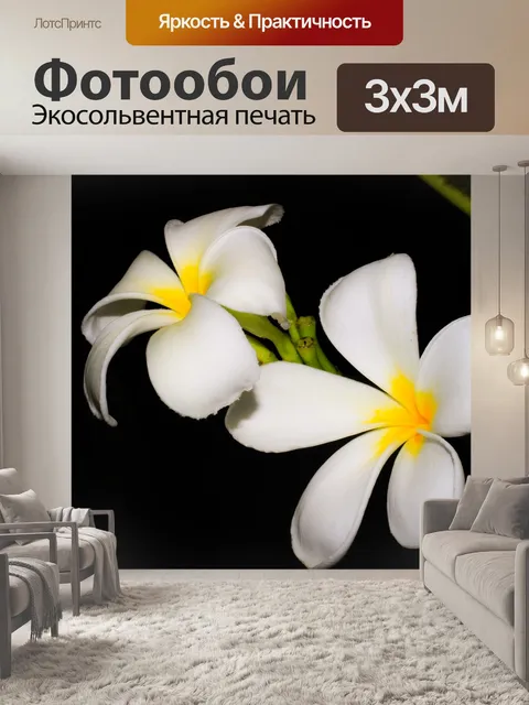 Фотообои Франжипани
