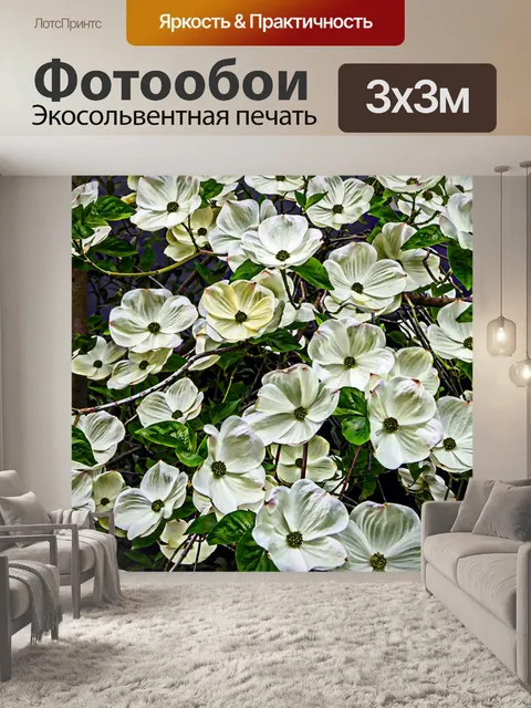 Фотообои Белый цветочный фон