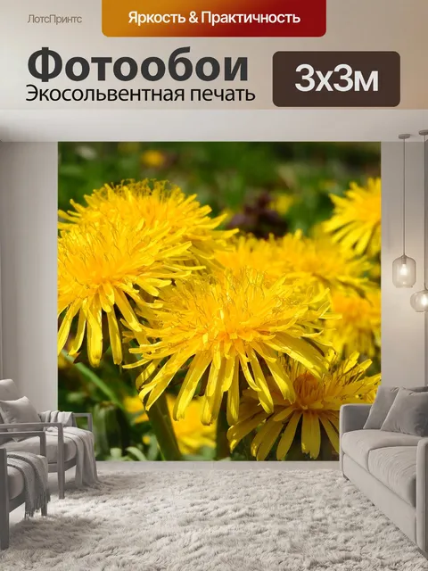 Фотообои Одуванчик
