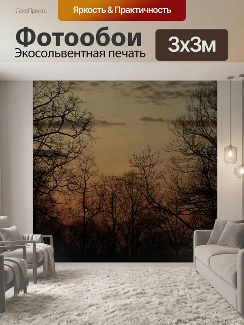 Фотообои Деревья