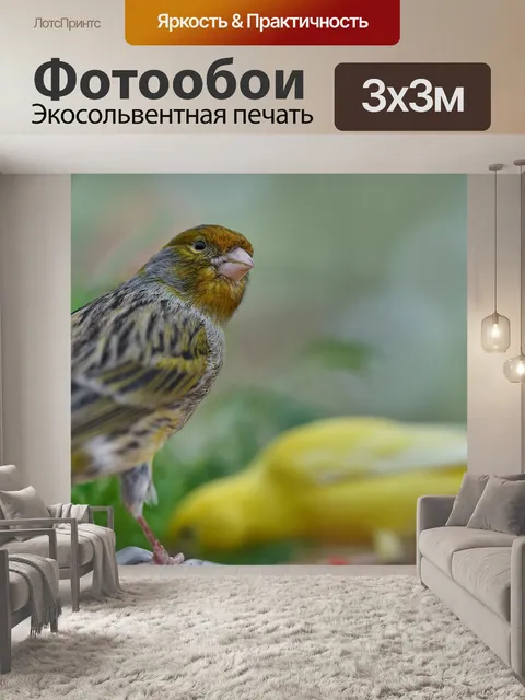 Фотообои Птица