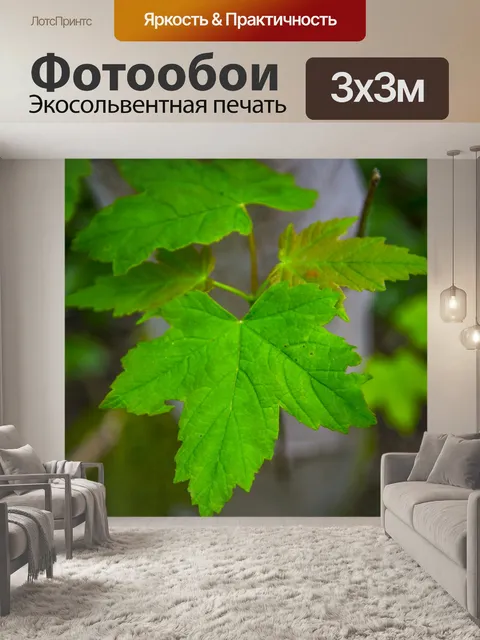 Фотообои Зеленый лист