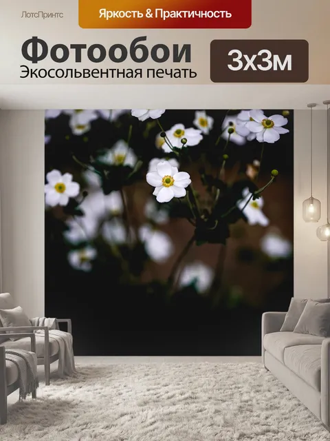 Фотообои Японский анемон