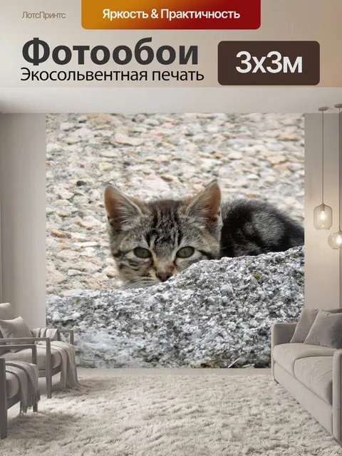 Фотообои Кошка