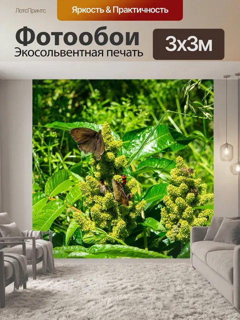 Фотообои Бабочки