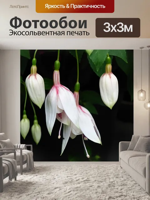 Фотообои Цветы