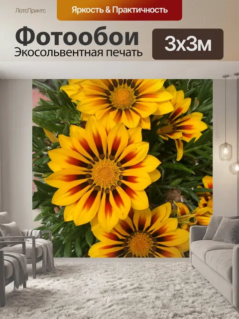 Фотообои Цветы