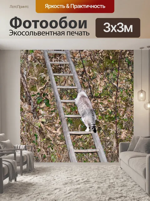 Фотообои Кошка