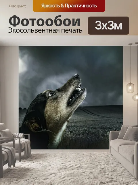 Фотообои Собака