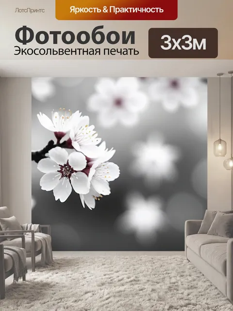 Фотообои с сакурой чернобелый