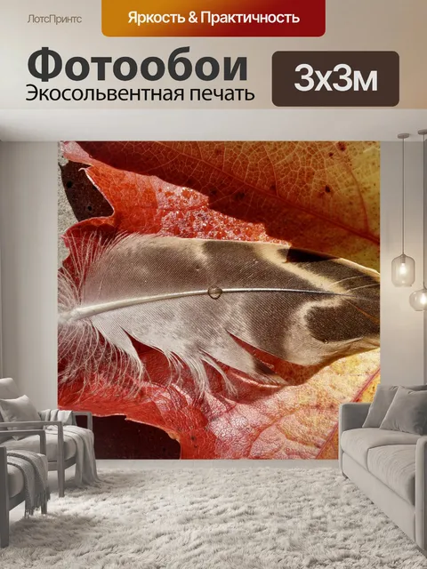 Фотообои Утки перо