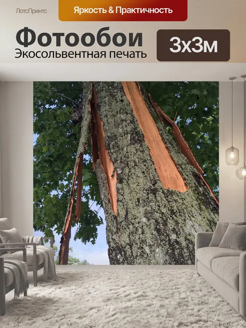 Фотообои Заноза