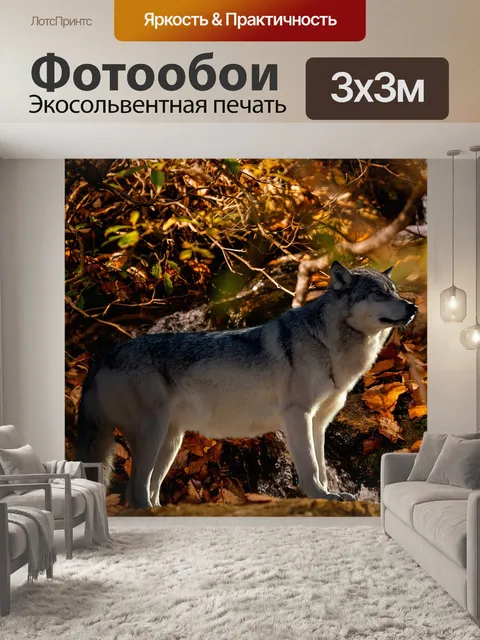 Фотообои Лес