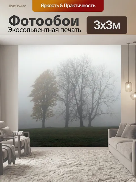 Фотообои Туман