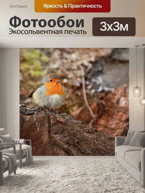 Фотообои Робин