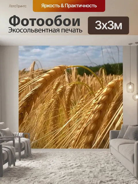 Фотообои Зерно