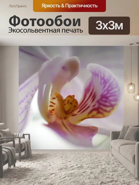 Фотообои Белый
