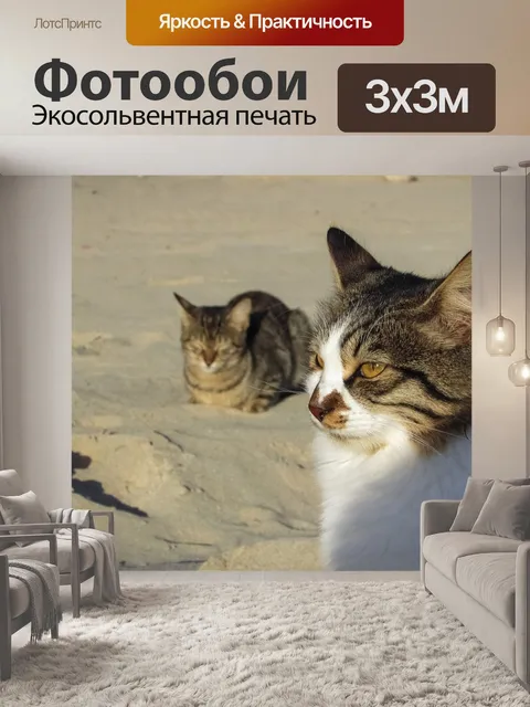 Фотообои Кошка