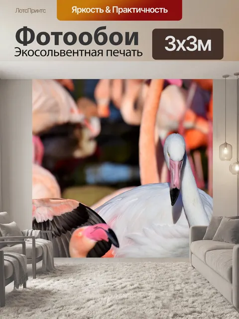 Фотообои Фламинго