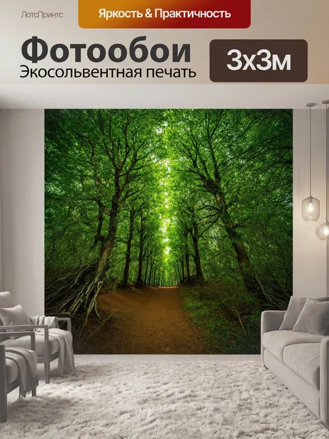 Фотообои лес с парадоксально пересекающимися деревьями и тропинками