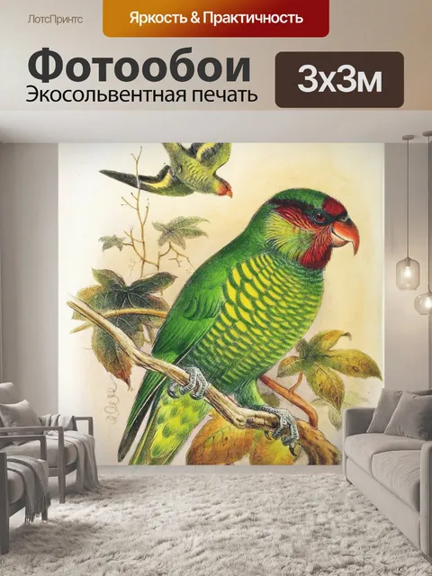 Фотообои Птица винтаж искусство старый
