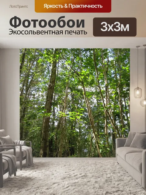 Фотообои Лес