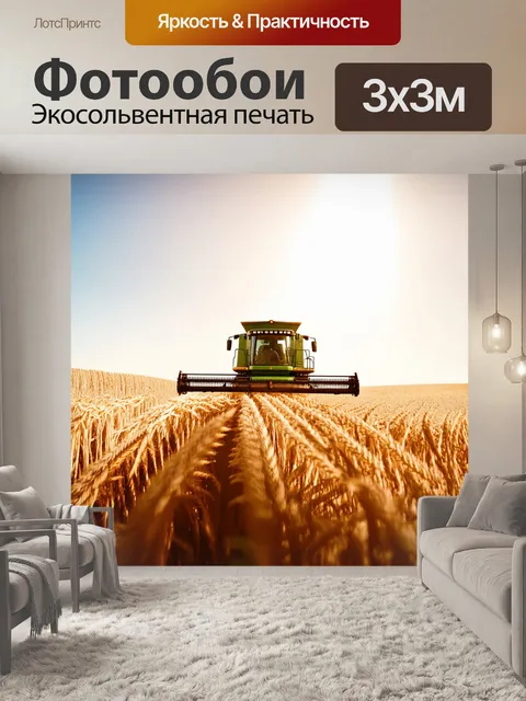 Фотообои панорама пейзажа с чистым небом и лучами солнца